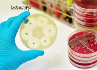 New Antibiotics from Dirt – Latest Method Designed By Scientists New Antibiotics from Dirt
