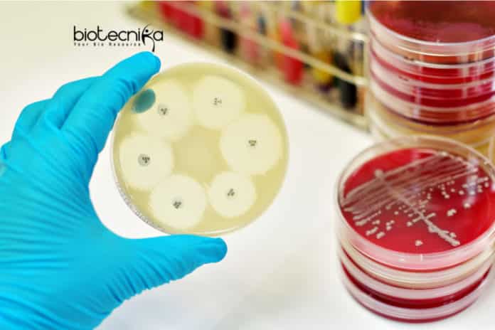 New Antibiotics from Dirt