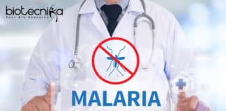 New Malaria Drug