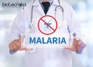 New Malaria Drug Uses Human Blood As Weapon – Breakthrough Research New Malaria Drug