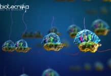 Pre-mRNA Splicing Studies To Reveal Potential Diseases Pre-mRNA splicing