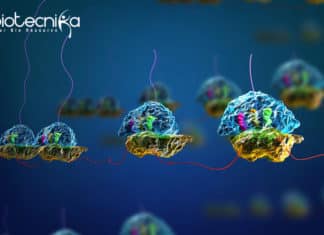 Pre-mRNA Splicing Studies To Reveal Potential Diseases Pre-mRNA splicing