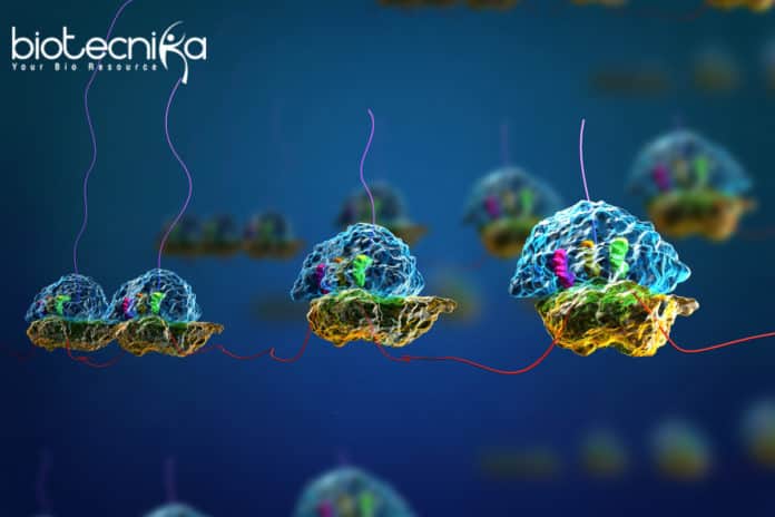 Pre-mRNA splicing