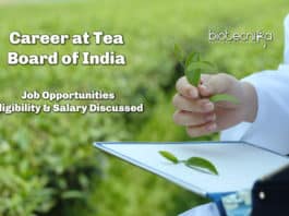 Career At Tea Board of India - Job Opportunities, Eligibility & Salary Discussed