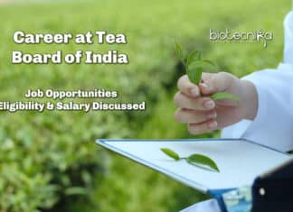 Career At Tea Board of India – Job Opportunities, Eligibility & Salary Discussed Career At Tea Board of India - Job Opportunities, Eligibility & Salary Discussed