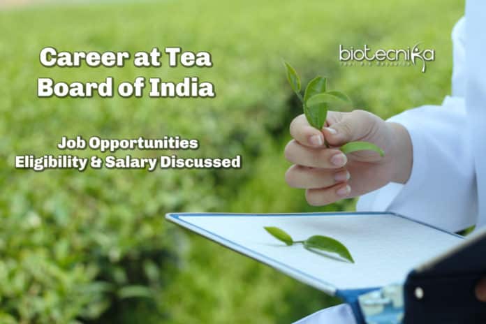 Career At Tea Board of India - Job Opportunities, Eligibility & Salary Discussed