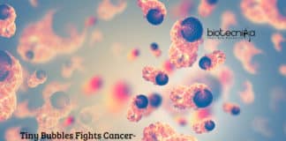 Tiny Bubbles Fights Cancer