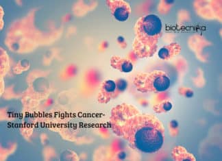 Cancer Fighting Bubbles – New Research By Stanford University Tiny Bubbles Fights Cancer