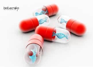 Scientists Develop DNA Microcapsules With Wide Clinical Applications DNA Microcapsules