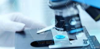 Smartphone Converted into Fluorescence Microscope