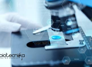 Scientists Convert Smartphone Into Fluorescence Microscope! Smartphone Converted into Fluorescence Microscope