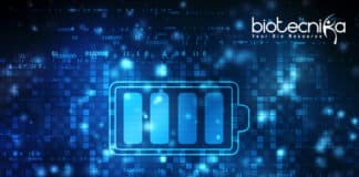 Protein Batteries For Environmentally Friendly And Safer Energy Storage