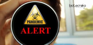 WHO warns on epidemic prone diseases that could kill millions.