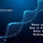 Water is the Key to Double Helix, not Hydrogen: Study