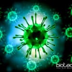 Yale Scientists Identify Rare Inherited Immune Disease