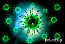 Yale Scientists Identify Rare Inherited Immune Disease Yale Scientists Identify Rare Inherited Immune Disease