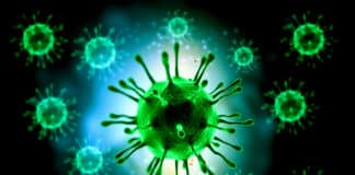 Yale Scientists Identify Rare Inherited Immune Disease