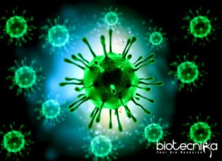 Yale Scientists Identify Rare Inherited Immune Disease Yale Scientists Identify Rare Inherited Immune Disease
