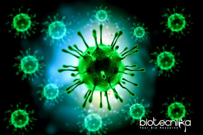 Yale Scientists Identify Rare Inherited Immune Disease