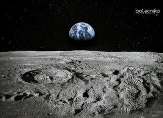 Startup – LifeShip Wants To Send Your DNA To Moon As Backup backup storage of human DNA