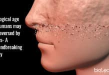 biological age of humans may be reversed