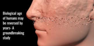 biological age of humans may be reversed