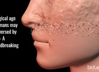 Breakthrough Research – Biological Age of Humans May Be Reversed By Years! biological age of humans may be reversed