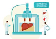 Bioprinting Complex Living Tissue In Seconds To Revolutionize Tissue Engineering