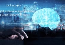 NASA Scientists Create A Smarter Model For Brain Research In Space NASA Space Brain research