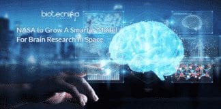 NASA Space Brain research