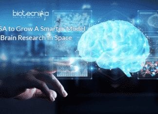 NASA Scientists Create A Smarter Model For Brain Research In Space NASA Space Brain research