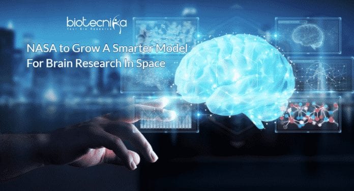 NASA Space Brain research