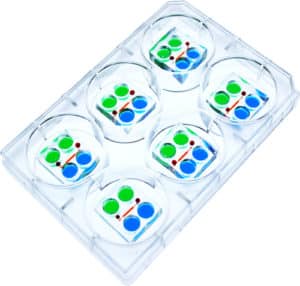 human embryoids producing device