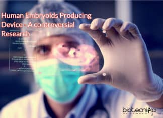 Scientists Develop Controversial Mass Human Embryoids Producing Device human embryoids producing device