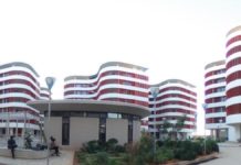 IIT Hyderabad Scientists Develop Low Priced, Eco-Friendly 3D-Print Stem Cells