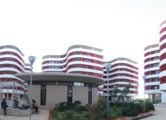 IIT Hyderabad Scientists Develop Low Priced, Eco-Friendly 3D-Print Stem Cells