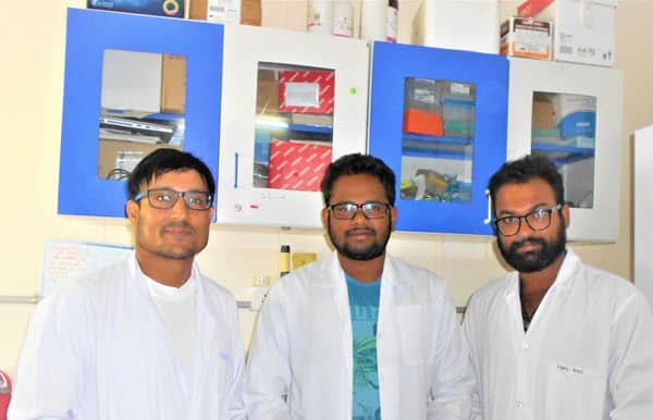 3D print stem cells