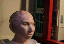 DNA Reveals First Look Our Mysterious Denisovans Ancestors Portrait of Denisovan girl