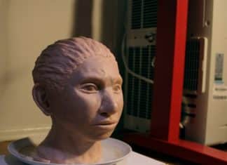 DNA Reveals First Look Our Mysterious Denisovans Ancestors Portrait of Denisovan girl