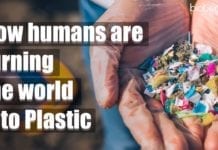 How Humans Are Turning The World Into Plastic