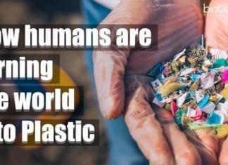 How Humans Are Turning The World Into Plastic