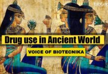 Drug Use in the Ancient World