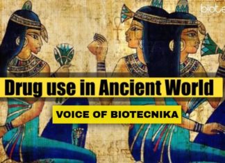 Drug Use in the Ancient World