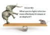 A Mouse Or An Elephant: Which Species Fights Infection More Effectively? A mouse or an elephant: what species fights infection more effectively?