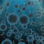 Cells That Repair Tissue