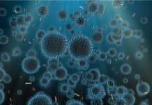 Cell Reparing Tissues Discovered By Oxford University Researchers Cells That Repair Tissue