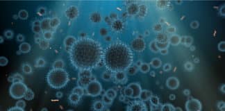 Cells That Repair Tissue