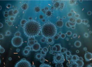 Cell Reparing Tissues Discovered By Oxford University Researchers Cells That Repair Tissue