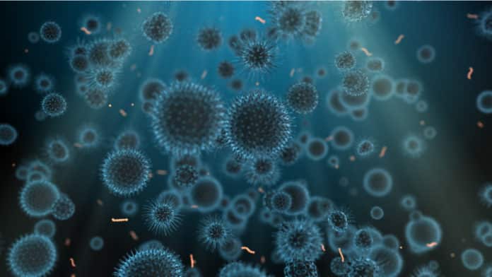 Cells That Repair Tissue