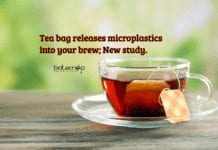 A Single Tea Bag Can Leak Billions Of Micro Plastics Pieces – Study Finds tea bag releases microplastics